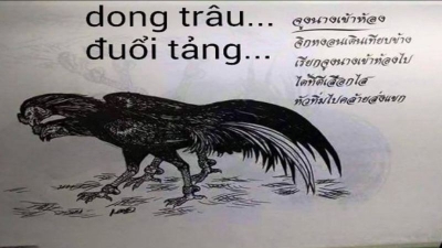 Các thế đá của gà chọi